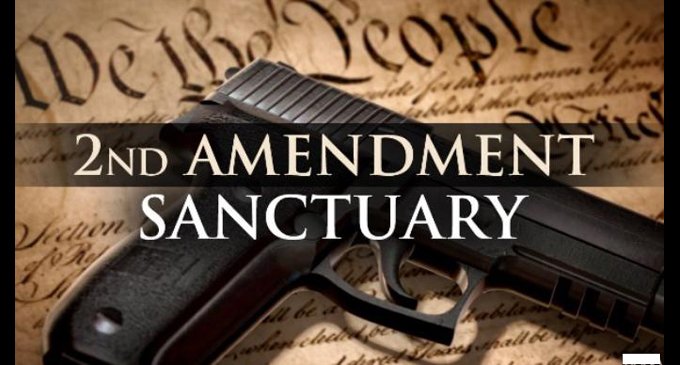 Forsyth County becomes latest Second Amendment Sanctuary after 4-3 vote