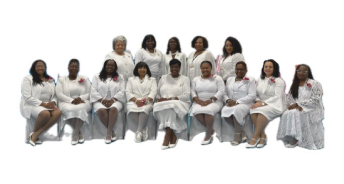 Top Ladies of Distinction, Inc. inducts 7 new ladies