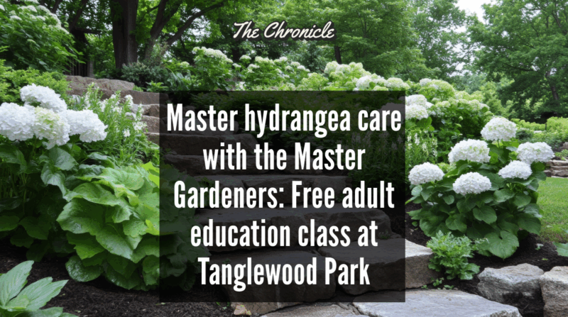Master hydrangea care with the Master Gardeners: Free adult education class at Tanglewood Park 